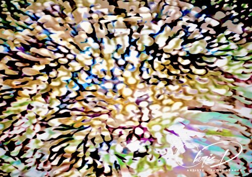 Sables Mouvants di Christelle Duval, Digitale in vendita su Singulart