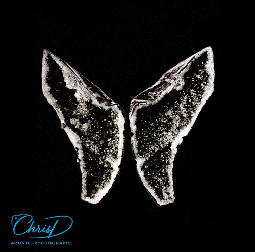 Reliques Ailées by Christelle Duval, Digital for Sale on Singulart