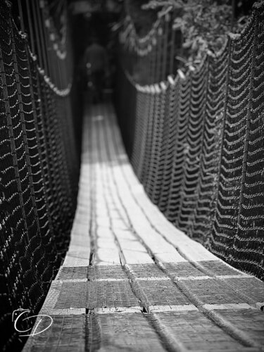 La Traversée von Christelle Duval, Fotografie kaufen auf Singulart