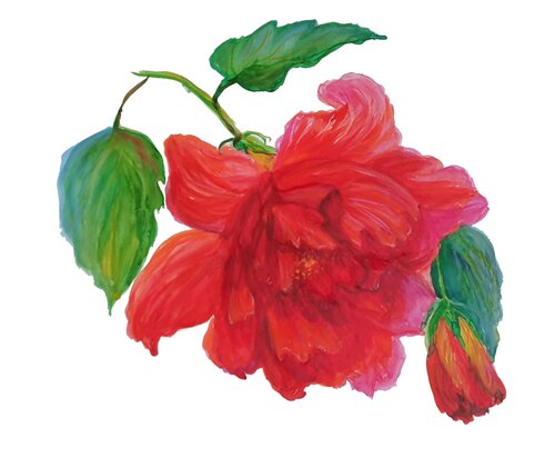 Luna rose hibiscus red flower von Nata Shemshur, Malerei kaufen auf Singulart