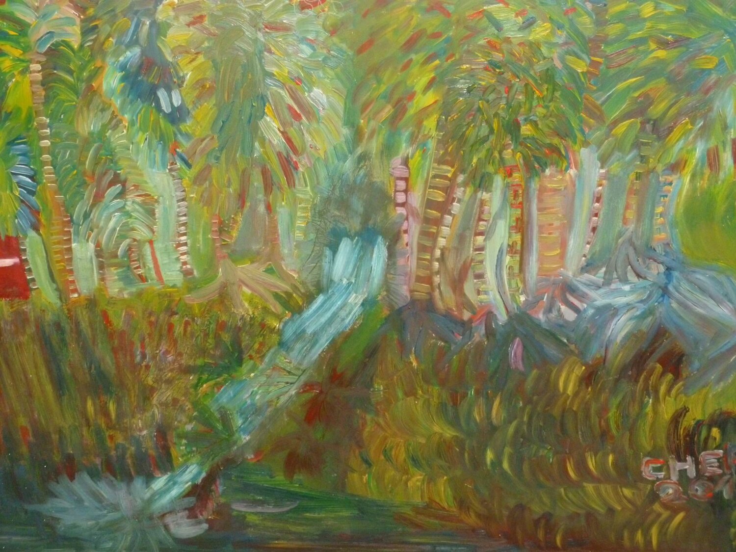 L'Amazonie Hermann Chery