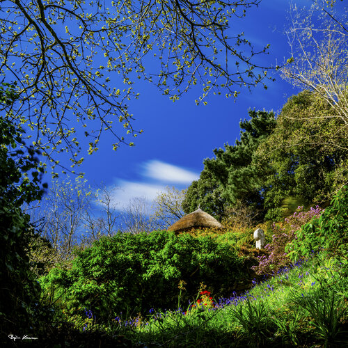 Dream Garden van Björn Hesener, Fotografie te koop op Singulart