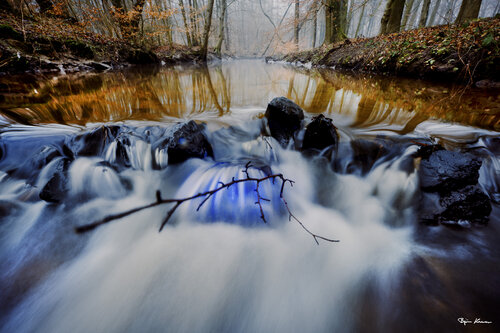 Icy Forest  II von Björn Hesener, Fotografie kaufen auf Singulart