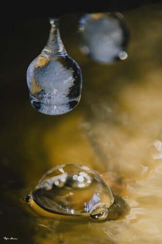 Ice Sculpture di Björn Hesener, Fotografia in vendita su Singulart