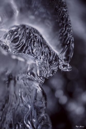 Ice Sculpture II di Björn Hesener, Fotografia in vendita su Singulart