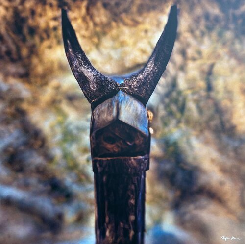 Bull of Italy par Björn Hesener, Photographie en vente sur Singulart