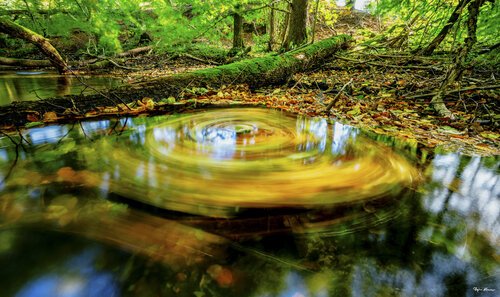 Real River von Björn Hesener, Fotografie kaufen auf Singulart