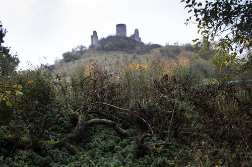 Spaziergang auf dem Desenberg, 30. Oktober 2024 - b de Anna Rona, Fotografía a la venta en Singulart