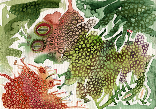 Kleine Drache 1 von Anna Rona, Malerei kaufen auf Singulart
