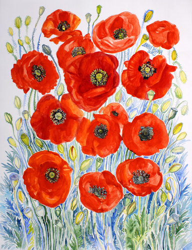 Mohnblumen vor weißem Hintergrund. van Anna Rona, Schilderij te koop op Singulart