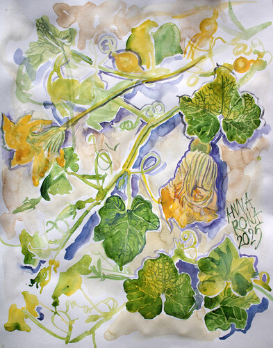 Zucchini van Anna Rona, Schilderij te koop op Singulart