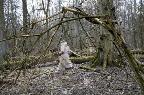Ein Spaziergang im Wald. di Anna Rona, Fotografia in vendita su Singulart