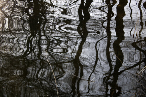 Am Ufer 1 von Anna Rona, Fotografie kaufen auf Singulart
