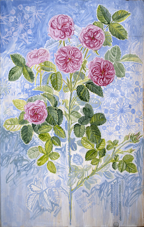 Rosen Anna Rona