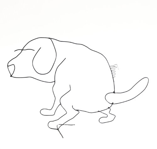 Is this your Dog over there? by Amédé Flum, Other Media for Sale on Singulart