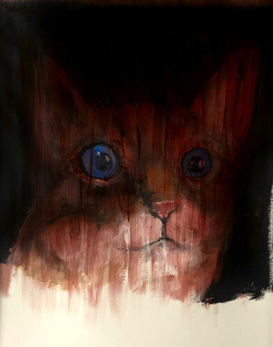 Cat @ Night di Amédé Flum, Pittura in vendita su Singulart