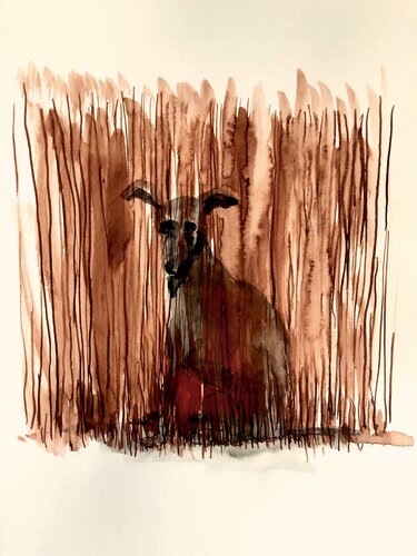 Hund Im Feld di Amédé Flum, Pittura in vendita su Singulart