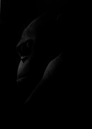 Affe by Amédé Flum, Painting for Sale on Singulart