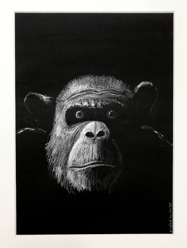 Affe en face de Amédé Flum, Pintura a la venta en Singulart