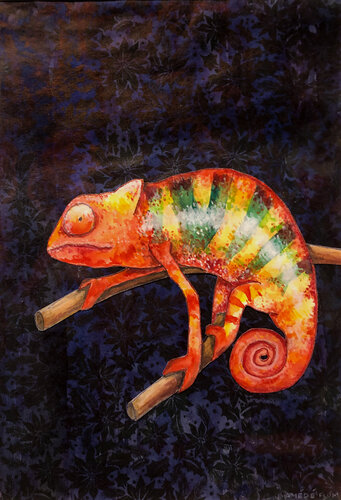 Chamäleon von Amédé Flum, Malerei kaufen auf Singulart