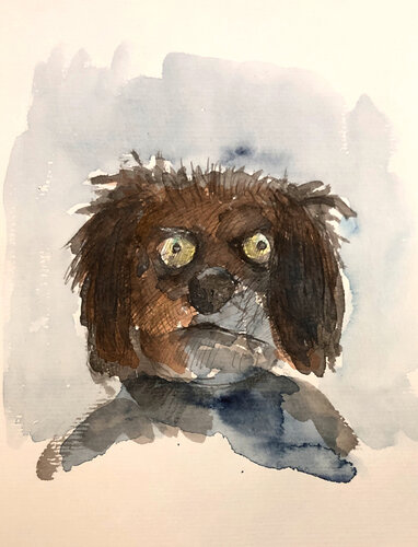 Canis Canem di Amédé Flum, Pittura in vendita su Singulart