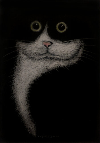 Ying and Yang Cat van Amédé Flum, Schilderij te koop op Singulart