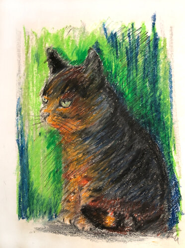 CoulorCat von Amédé Flum, Malerei kaufen auf Singulart