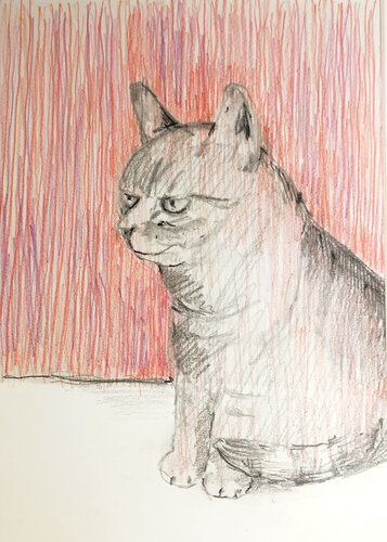 LeChat von Amédé Flum, Malerei kaufen auf Singulart