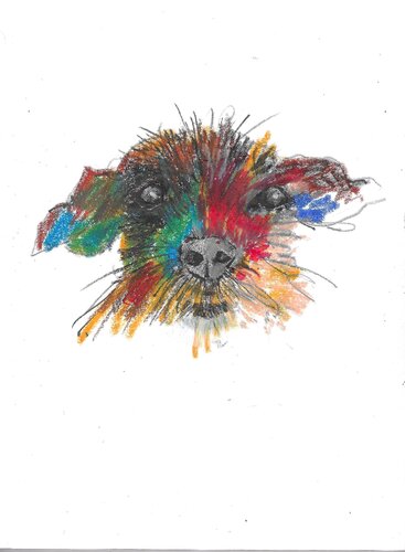 Dogface by Amédé Flum, 絵画 for Sale on Singulart