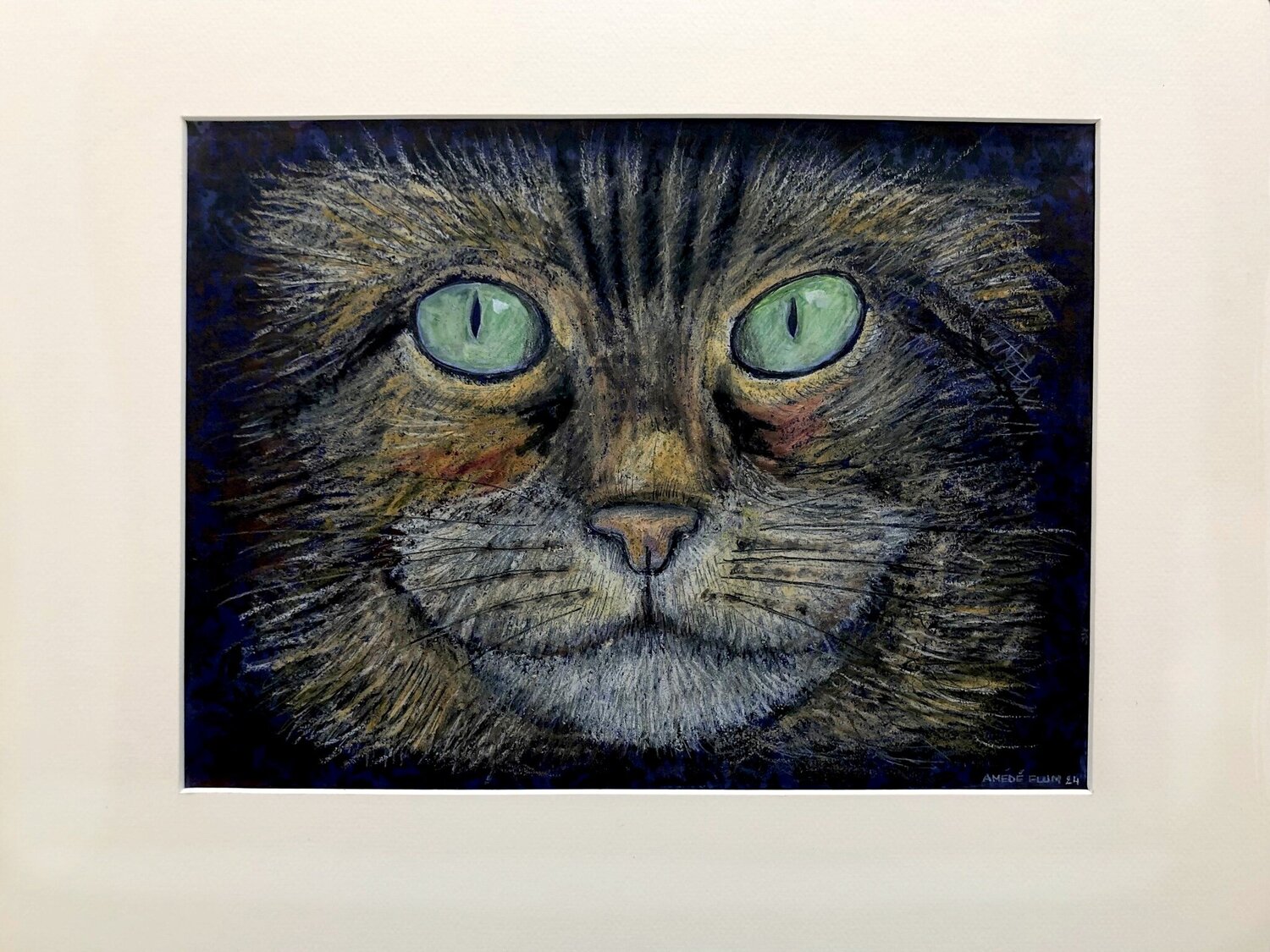 Katzenportrait Amédé Flum