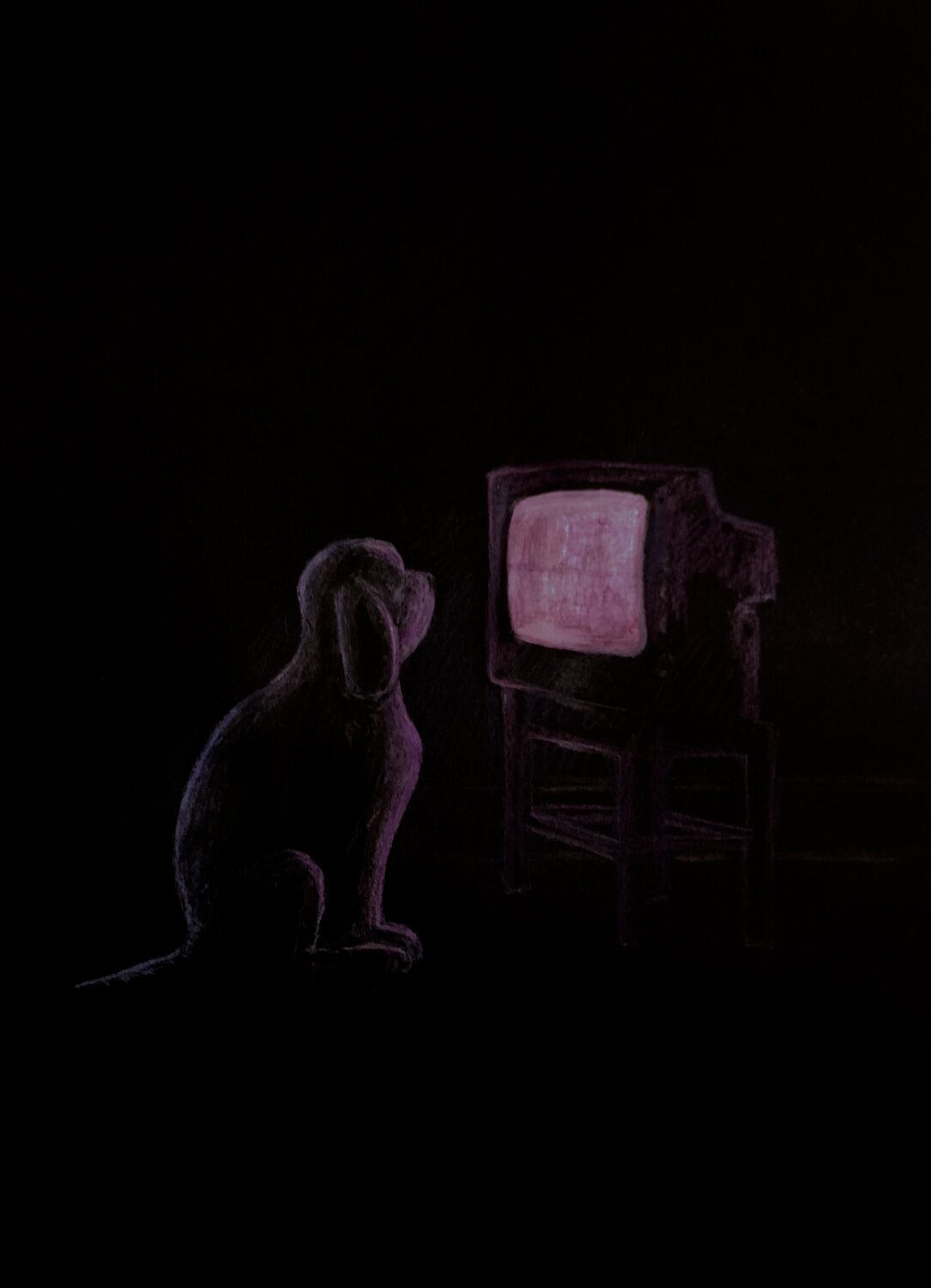 TV-Dog Amédé Flum