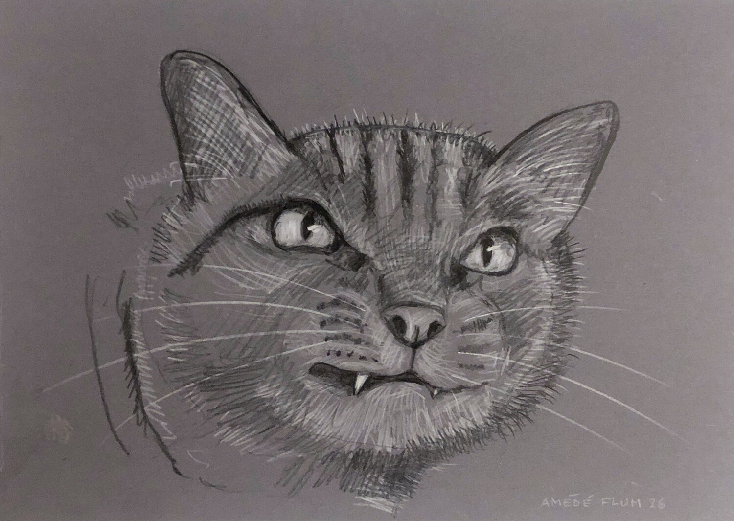 Katzenportrait Amédé Flum Origineel schilderij te koop