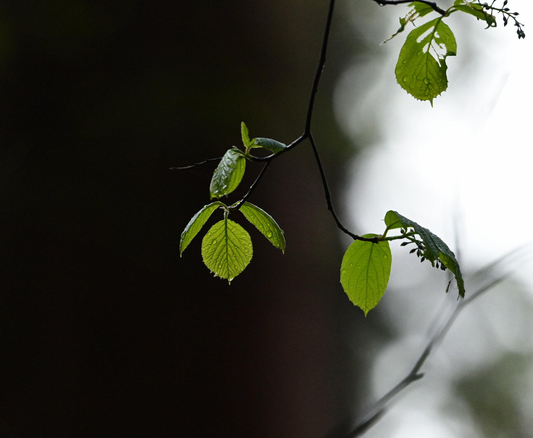 希望が始まる場所