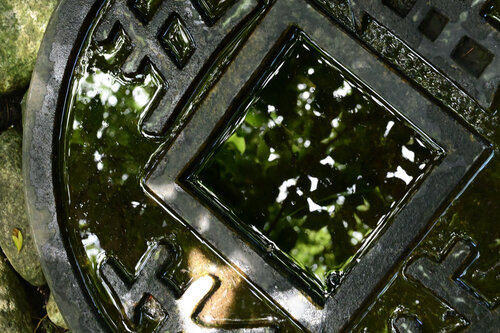 Pure Motion 1 de Anatoliy Anshin, Fotografía a la venta en Singulart