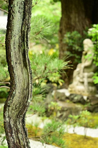 Pure and Silent de Anatoliy Anshin, Fotografía a la venta en Singulart