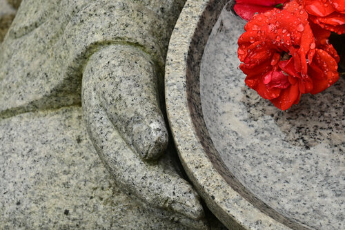 Compassion van Anatoliy Anshin, Fotografie te koop op Singulart