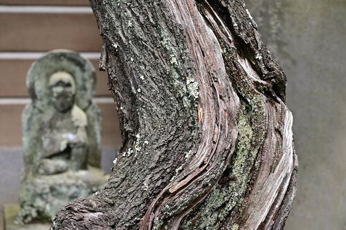 Unfathomable Depths 2 Anatoliy Anshin