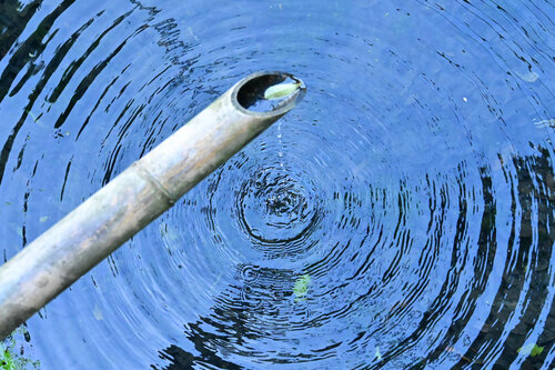 Infinity 1 di Anatoliy Anshin, Fotografia in vendita su Singulart