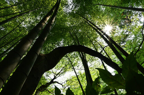 Unexplored Realms 1 Anatoliy Anshin