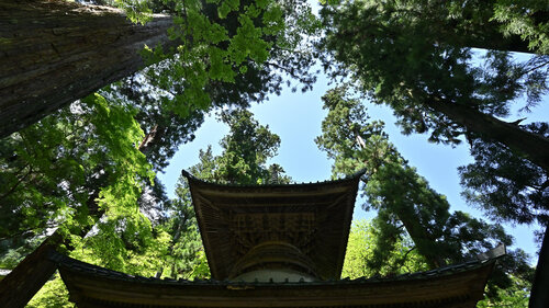 Aspiration Anatoliy Anshin