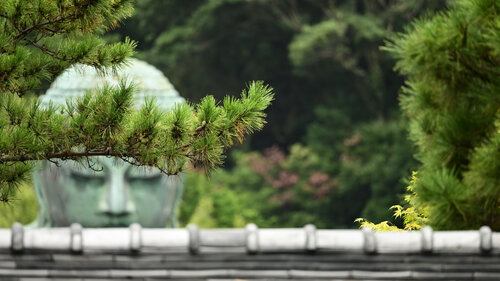The Great Buddha of Kamakura 17 di Anatoliy Anshin, Fotografia in vendita su Singulart