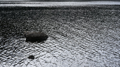 Conversations with Lake Ashinoko 37 Anatoliy Anshin