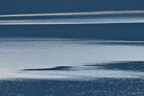 Lake Ashinoko Abstraction 2 di Anatoliy Anshin, Fotografia in vendita su Singulart