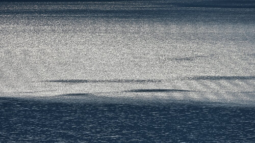 Lake Ashinoko Abstraction 21 Anatoliy Anshin