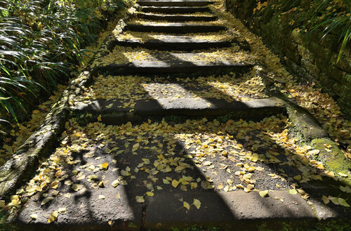 Jochiji Shadows (Edition 1/25) par Anatoliy Anshin, Photographie en vente sur Singulart