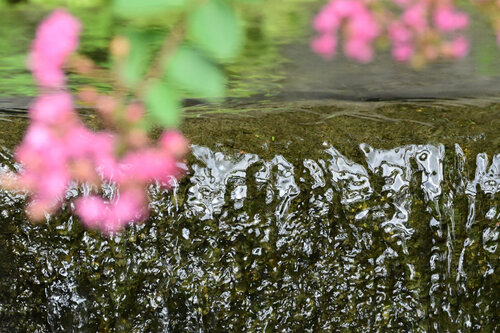 Hasedera Stream (Edition 1/25) par Anatoliy Anshin, Photographie en vente sur Singulart