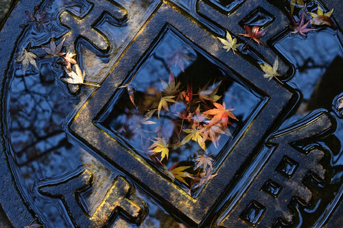 Enough is Enough 8 (edition 1/25, unframed print) Anatoliy Anshin