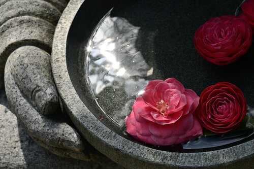 Compassion 2 (edition 1/25, unframed print) di Anatoliy Anshin, Fotografia in vendita su Singulart