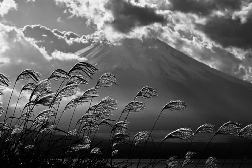 Fuji and the Elements by Anatoliy Anshin, Photography for Sale on Singulart