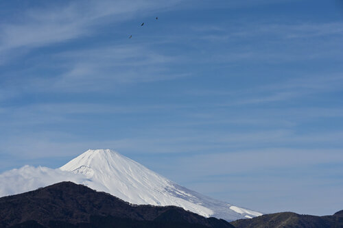 Conversations with Mount Fuji 12 di Anatoliy Anshin, Fotografia in vendita su Singulart